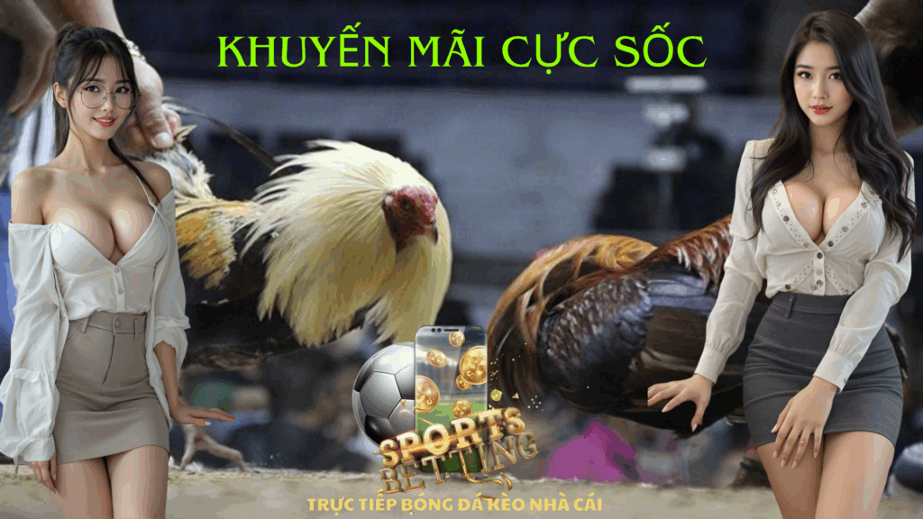 Tại Sao Đá Gà Đòn 2025 Lại “Bùng Nổ”?