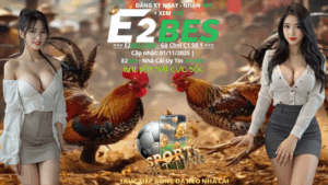 Link Xem Thomo Hôm Nay Không Lag 2025