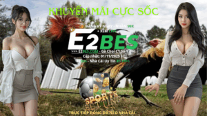 ú Đá Trời Giáng Của Bảo Sting Đang Chờ Bạn!