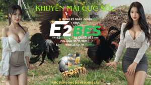 Lịch Đá Gà Tre Trực Tiếp Hôm Nay (Cập Nhật 17h52)