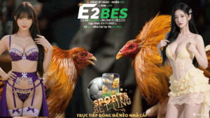 Thomo Hôm Nay Đang Vào Giờ Vàng, Bạn Đã Sẵn Sàng Chưa